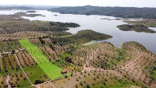 Terreno em Portel