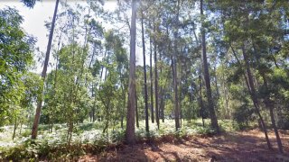 Land for sale in Espinho, Portugal — €20,000
