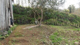 Land for sale in Ribeira Grande, Portugal — €55,000