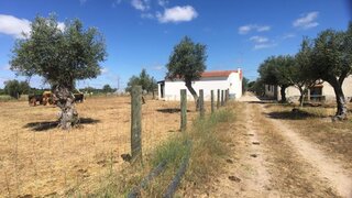 Land for sale in Abrantes, Portugal — €280,000