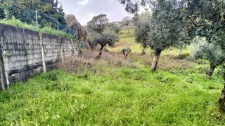 Land for sale in Ferreira do Zêzere, Portugal — €16,500