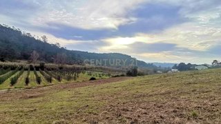 Land for sale in Alcobaça, Portugal — €119,000