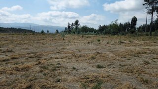 Land for sale in Marco de Canaveses, Portugal — €300,000