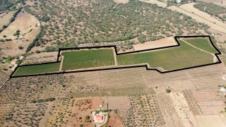 Land for sale in Estremoz, Portugal — €350,000