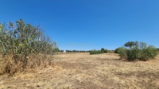 Land for sale in Reguengos de Monsaraz, Portugal — €90,000