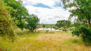 Land for sale in Benavente, Portugal — €275,000