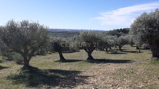 Land for sale in Reguengos de Monsaraz, Portugal — €350,000