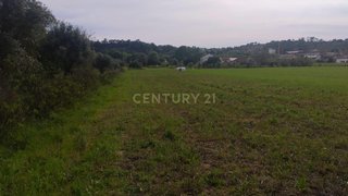 Land for sale in Tomar, Portugal — €39,000