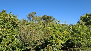 Land for sale in Almada, Portugal — €57,500