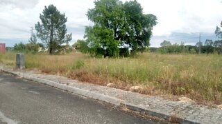 Land for sale in Coruche, Portugal — €62,000
