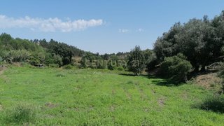 Land for sale in Vila Nova da Barquinha, Portugal — €17,000