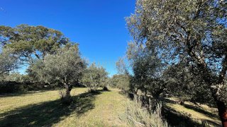 Land for sale in Castelo Branco, Portugal — €7,000