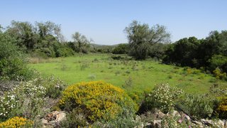 Land for sale in Loulé, Portugal — €54,000