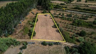 Terreno em Montemor-o-Velho