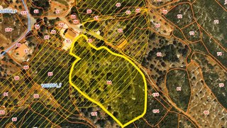 Land for sale in Alcanena, Portugal — €66,000