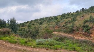 Land for sale in Monchique, Portugal — €148,000