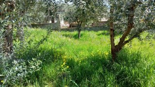 Land for sale in Fundão, Portugal — €7,600