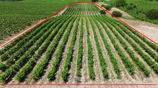 Land for sale in Palmela, Portugal — €128,800