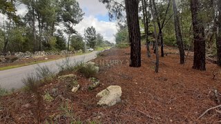 Land for sale in Penamacor, Portugal — €25,000