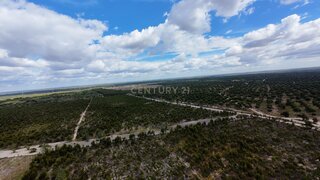 Land for sale in Benavente, Portugal — €650,000