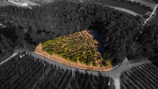 Terreno em Caldas da Rainha