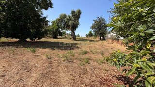 Land for sale in Ferreira do Zêzere, Portugal — €62,000
