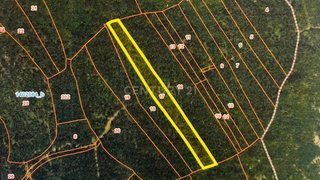 Land for sale in Alcanena, Portugal — €65,000