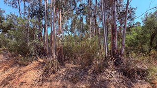 Terreno para venda em Abrantes, Portugal — 31 000 €