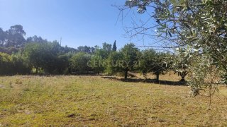 Land for sale in Torres Novas, Portugal — €26,500