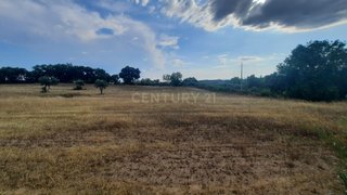Land for sale in Idanha-a-Nova, Portugal — €36,500
