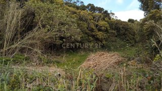 Terreno em Angra do Heroísmo