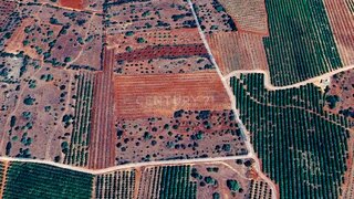 Land for sale in Silves, Portugal — €40,000
