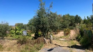 Land for sale in Idanha-a-Nova, Portugal — €14,000