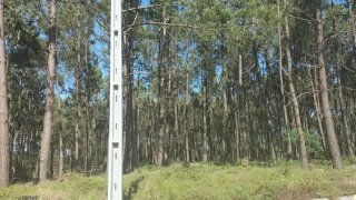 Terreno em Marinha Grande