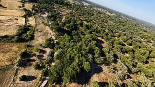 Terreno em Montijo