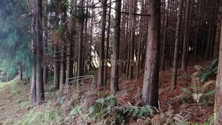 Land for sale in Ribeira Grande, Portugal — €110,000