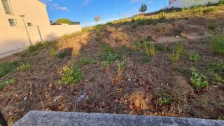Terreno em Entroncamento