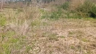 Land for sale in Lousada, Portugal — €91,405