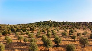 Land for sale in Estremoz, Portugal — €950,000