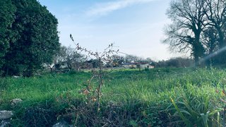 Land for sale in Pombal, Portugal — €34,500