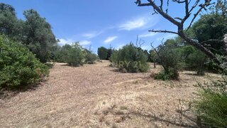 Land for sale in Silves, Portugal — €950,000