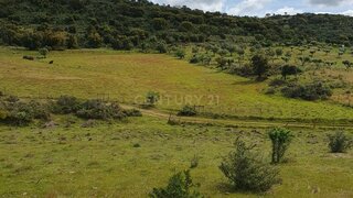 Land for sale in Redondo, Portugal — €250,000