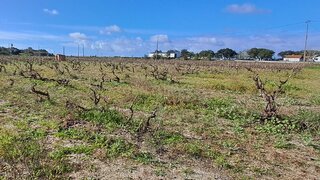 Land for sale in Palmela, Portugal — €399,000