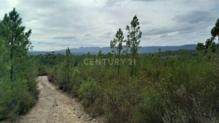 Land for sale in Castelo Branco, Portugal — €6,500