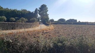 Terreno de 2625 m² em Castelo Branco