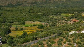 Terreno · 860 m² · 1200 €