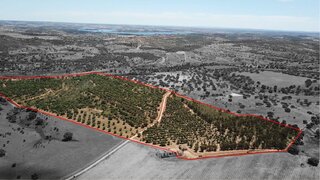 Land for sale in Ourique, Portugal — €289,000