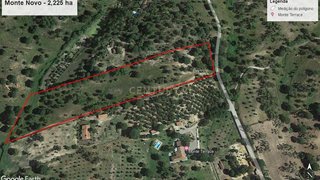 Land for sale in Mora, Portugal — €35,000