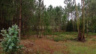 Terreno para venda em Marinha Grande, Portugal — 100 000 €