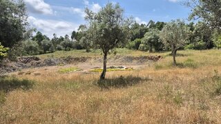 Land for sale in Soure, Portugal — €42,000